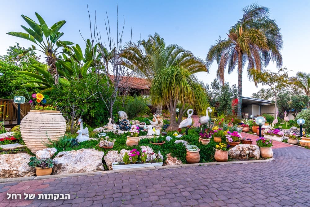 3f3dfd329e.jpeg