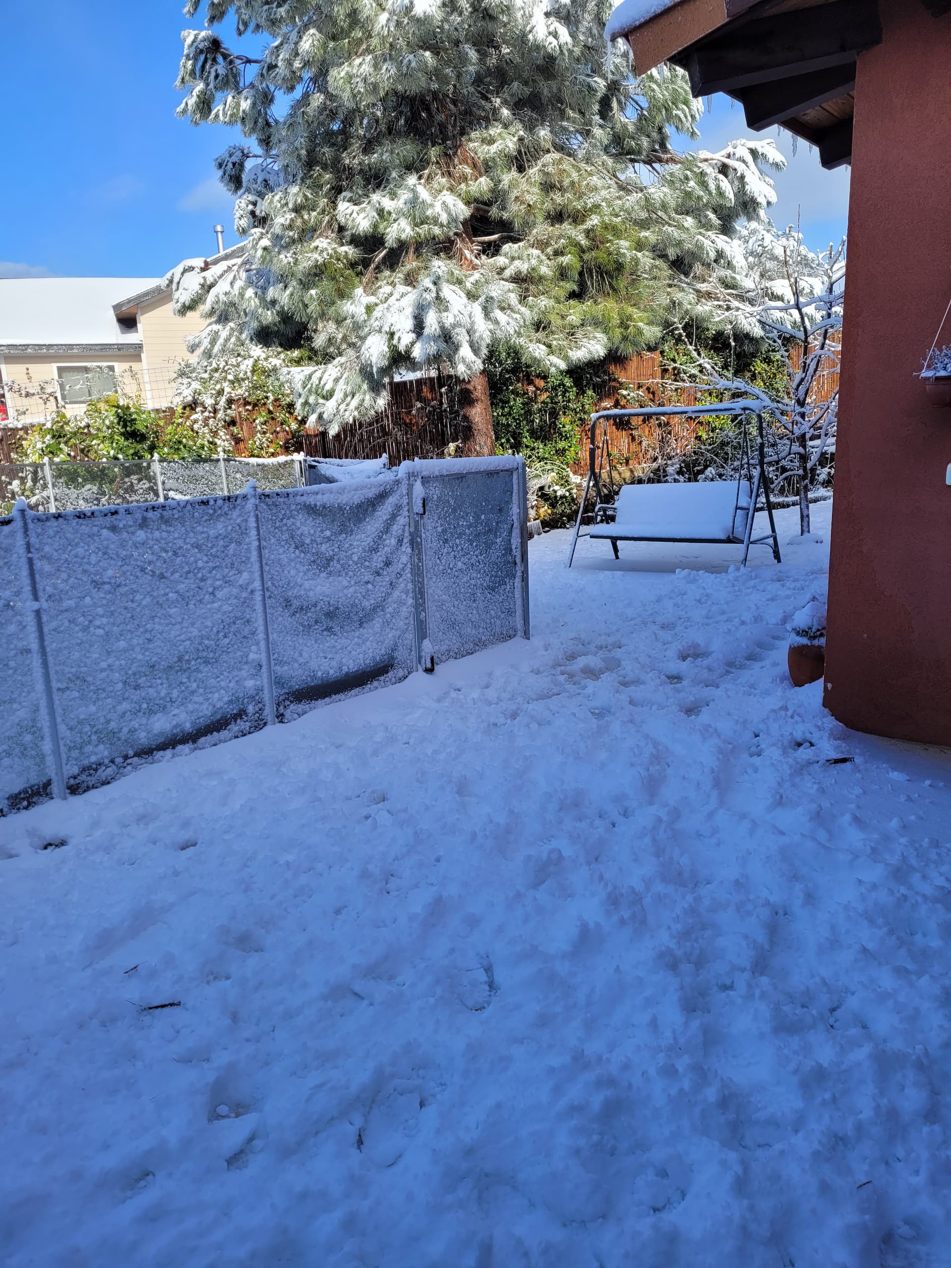 20230208_085248.jpg